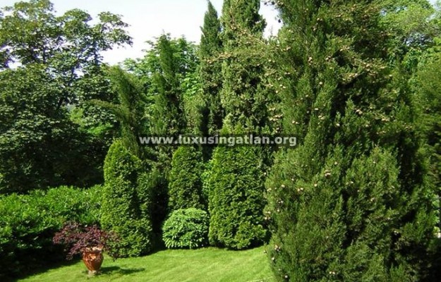 Budapest XI. kerület Eladó Ház Gellért-hegyen