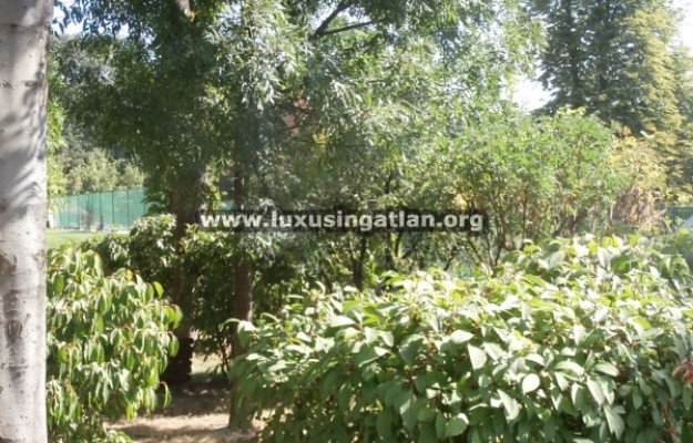 Budapest II. kerület Kiadó Lakás