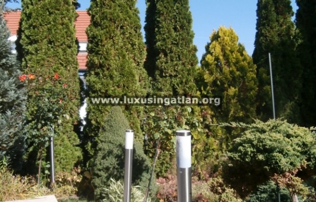 Budapest XI. kerület Kiadó Ház