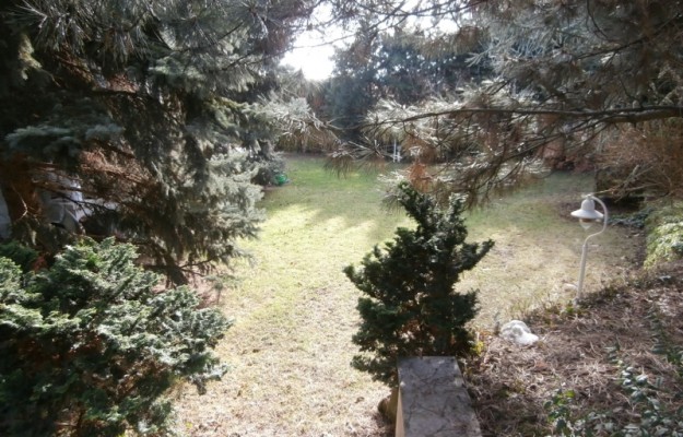 Budapest II. kerület Eladó Lakás