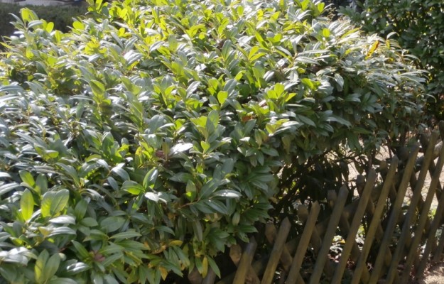 Budapest II. kerület Eladó Lakás