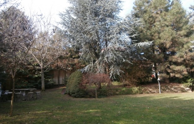 Budapest II. kerület Eladó Lakás