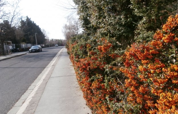 Budapest II. kerület Eladó Lakás