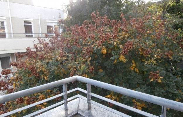 Budapest II. kerület Kiadó Lakás