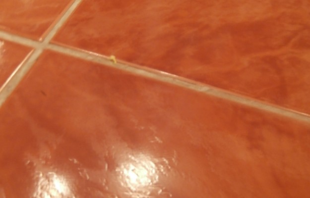 Budapest II. kerület Kiadó Lakás