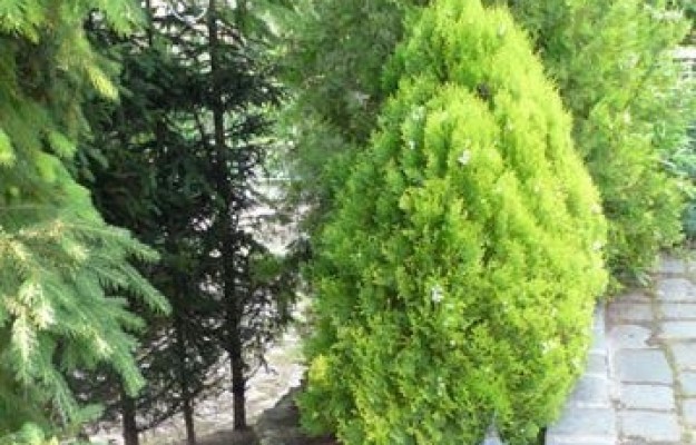 Budapest XII. kerület Eladó Ház