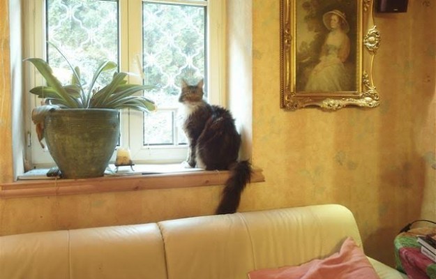 Budapest XII. kerület Eladó Ház