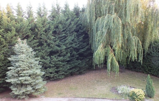 Budapest XI. kerület Kiadó Lakás