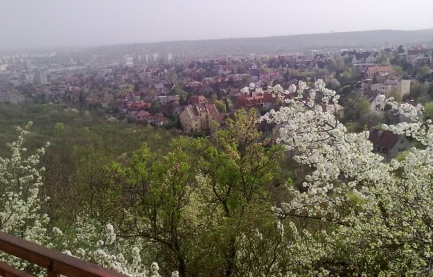 Budapest XI. kerület Eladó Ház