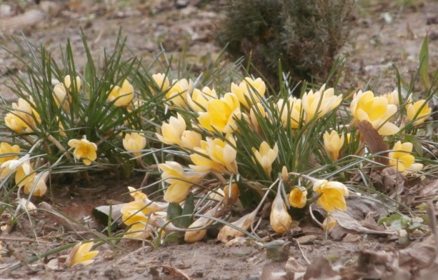 Budapest II. kerület Kiadó Lakás Szépvölgyi út