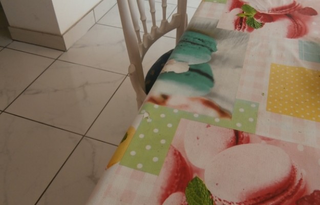 Törökbálint Eladó Ház