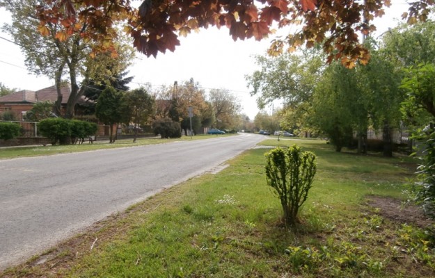 Törökbálint Eladó Ház