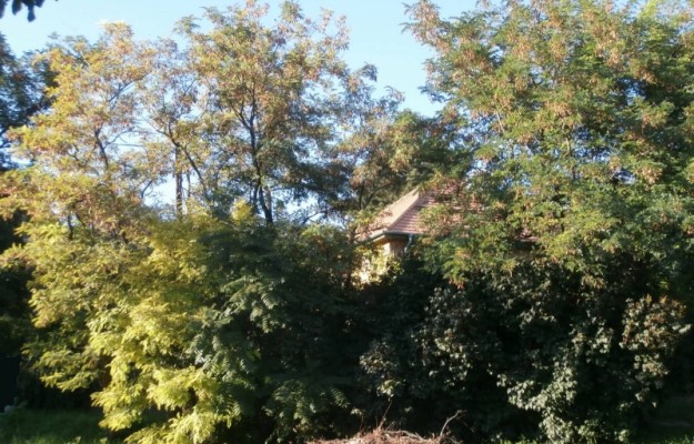 Budapest XI. kerület Eladó Telek