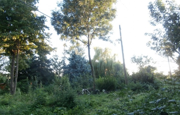 Budapest XI. kerület Eladó Telek