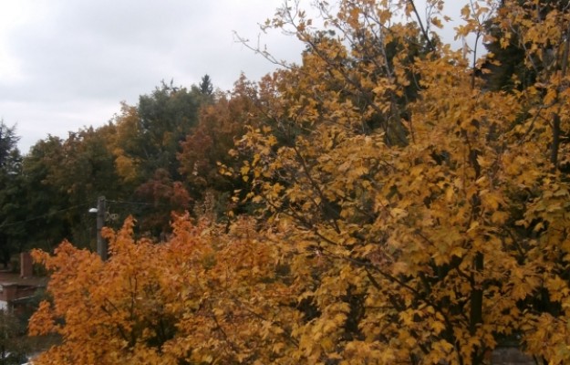 Budapest XII. kerület Eladó Lakás