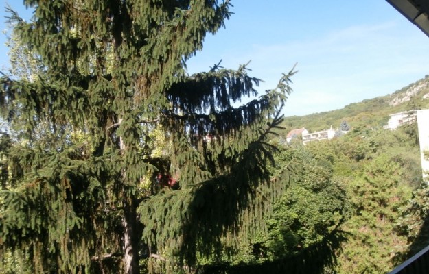 Budapest XI. kerület Eladó Lakás