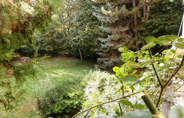 Budapest II. kerület Eladó Lakás