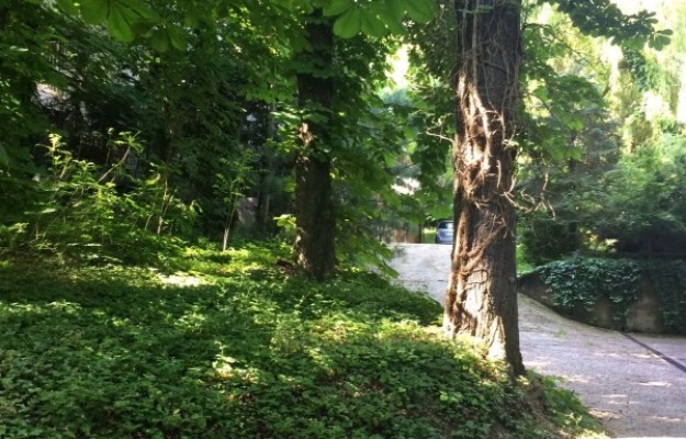 Budapest XII. kerület Eladó Lakás