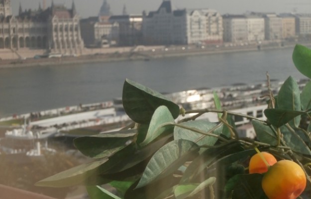 Budapest II. kerület Eladó Lakás