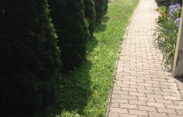 Budapest XI. kerület Eladó Lakás