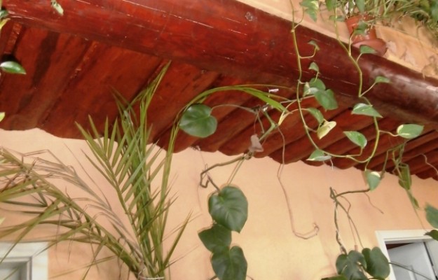 Budaörs Eladó Ház