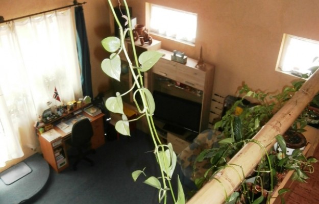 Budaörs Eladó Ház