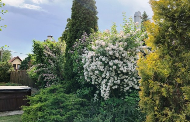 Zsámbék Eladó Ház