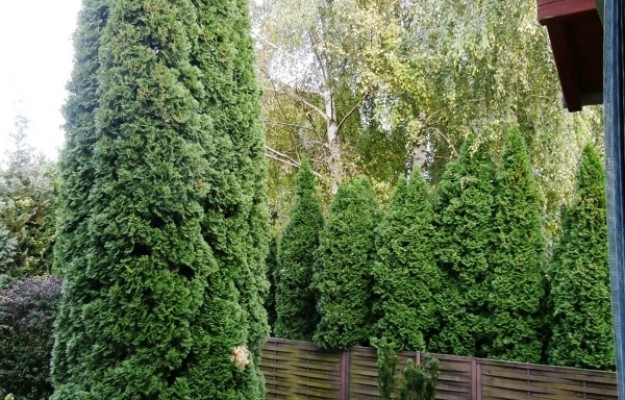 Zsámbék Eladó Ház