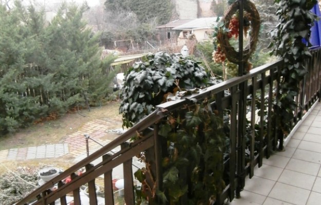 Budapest VIII. kerület Eladó Ház