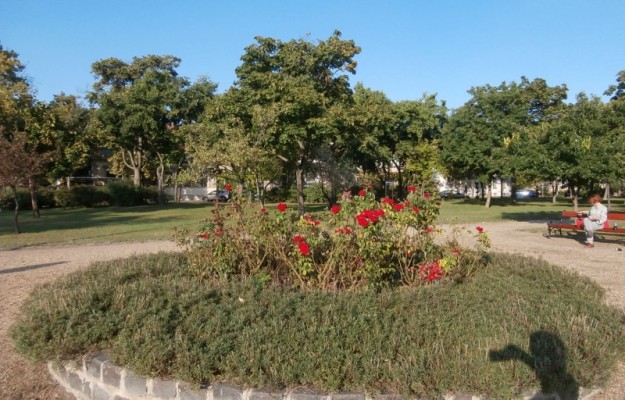 Budapest VIII. kerület Eladó Ház