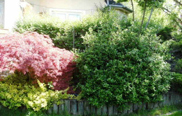 Zsámbék Eladó Ház