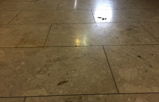 Zsámbék Eladó Ház