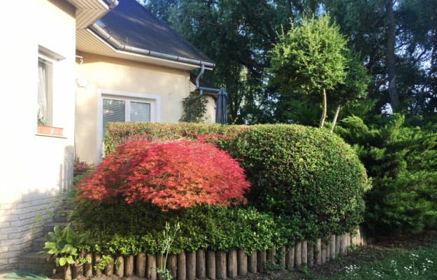 Zsámbék Eladó Ház