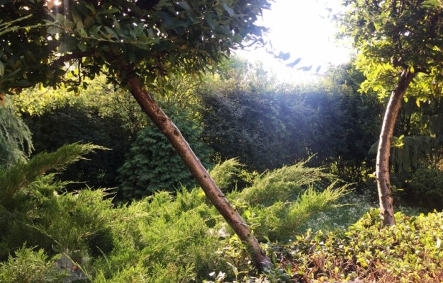 Zsámbék Eladó Ház