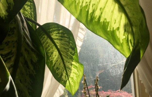 Zsámbék Eladó Ház