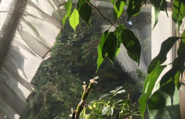 Zsámbék Eladó Ház