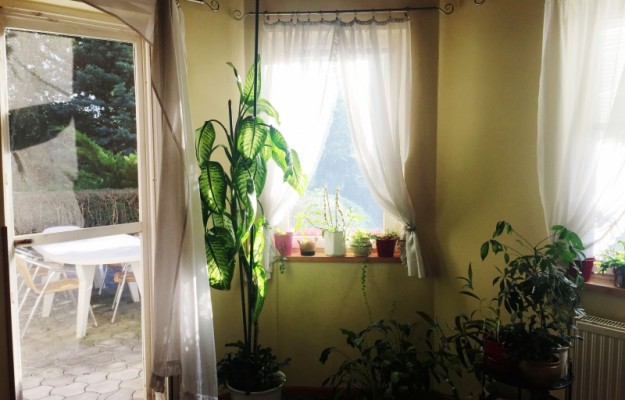 Zsámbék Eladó Ház