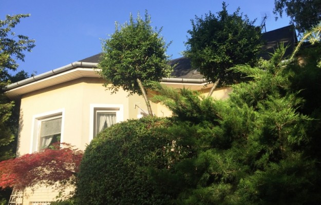 Zsámbék Eladó Ház