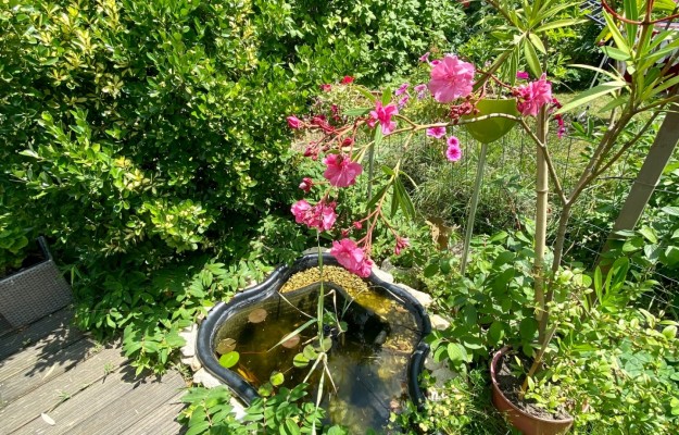 Budapest XI. kerület Eladó Lakás Ozorai utca