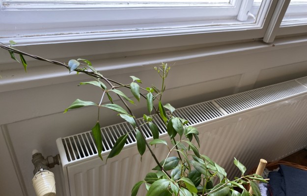 Budapest VII. kerület Eladó Lakás Barát utca