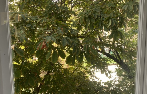 Budapest VII. kerület Eladó Lakás Barát utca