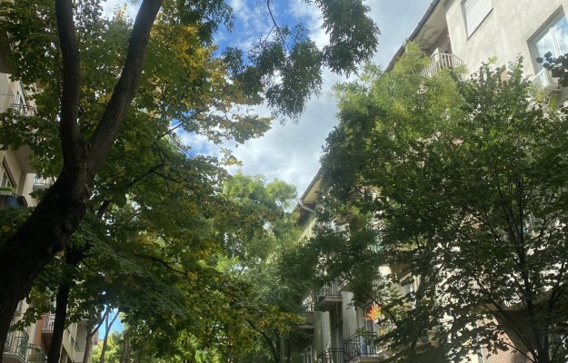 Budapest VII. kerület Eladó Lakás Barát utca