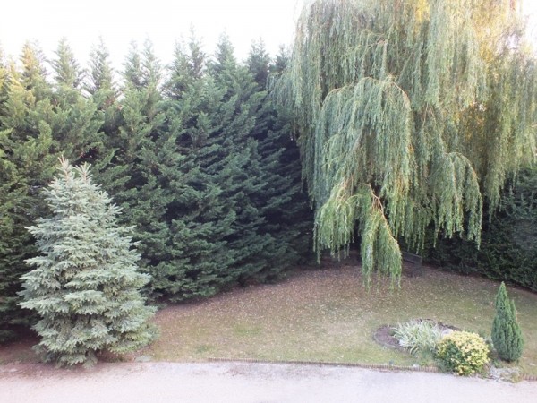 Budapest XI. kerület ingatlanok