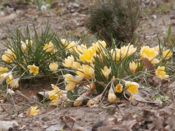 Budapest II. kerület ingatlanok