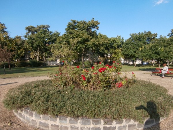 Budapest VIII. kerület ingatlanok