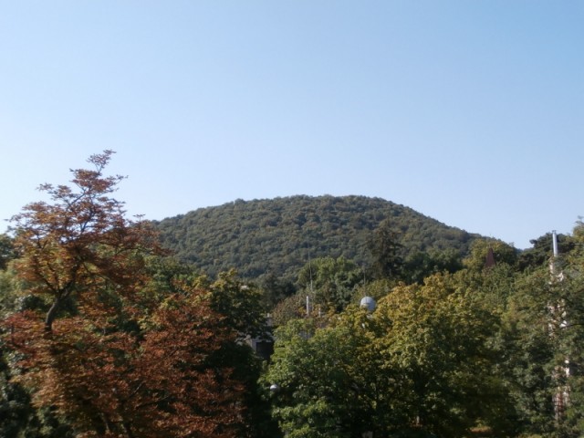 budapest_II_szepilona_lakopark_elado_lakas