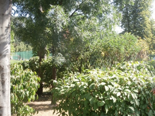 budapest_II_szepilona_lakopark_elado_lakas