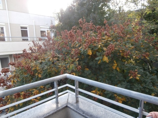 budapest_II_szepilona_lakopark_elado_lakas