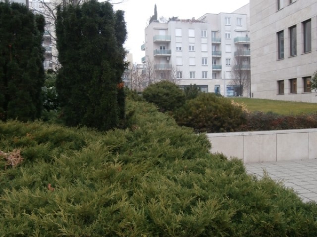 XII_budán_kiadó_luxus_lakas_mom_lakoparkban