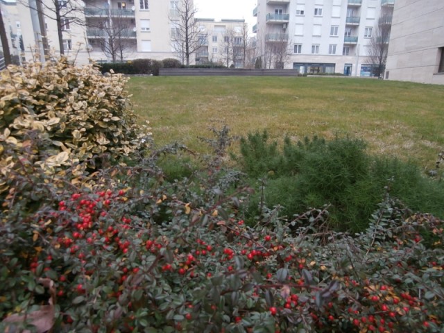 hegyvidek_XII_mom_bevasarlokozpont_mom_lakoparkban_elado